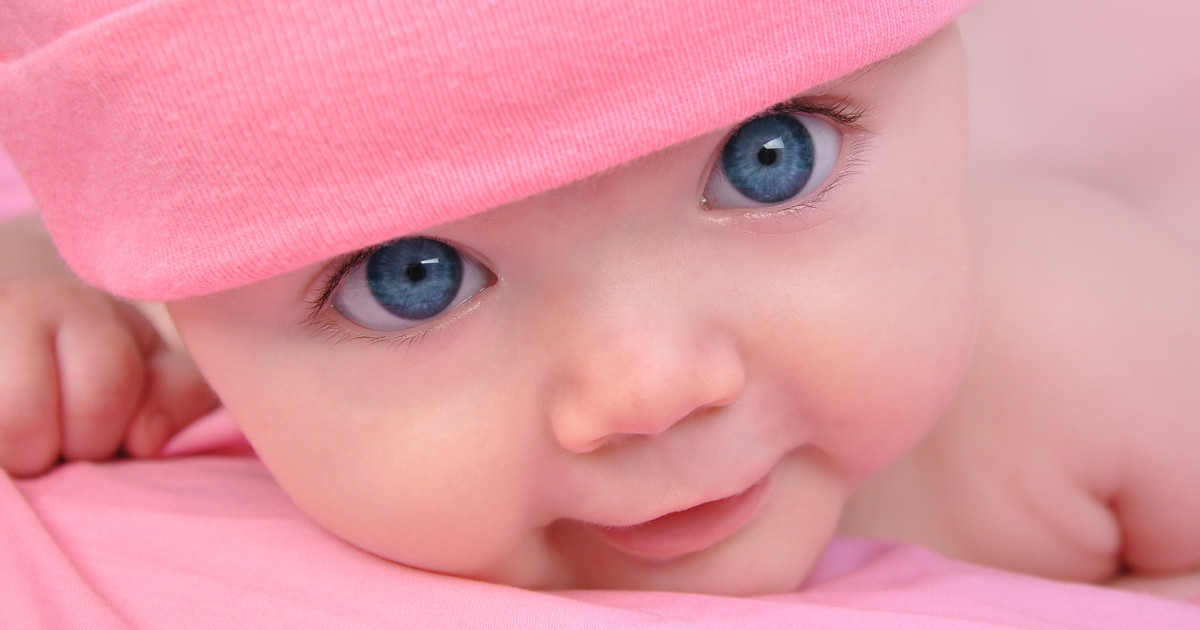 Infant Formula